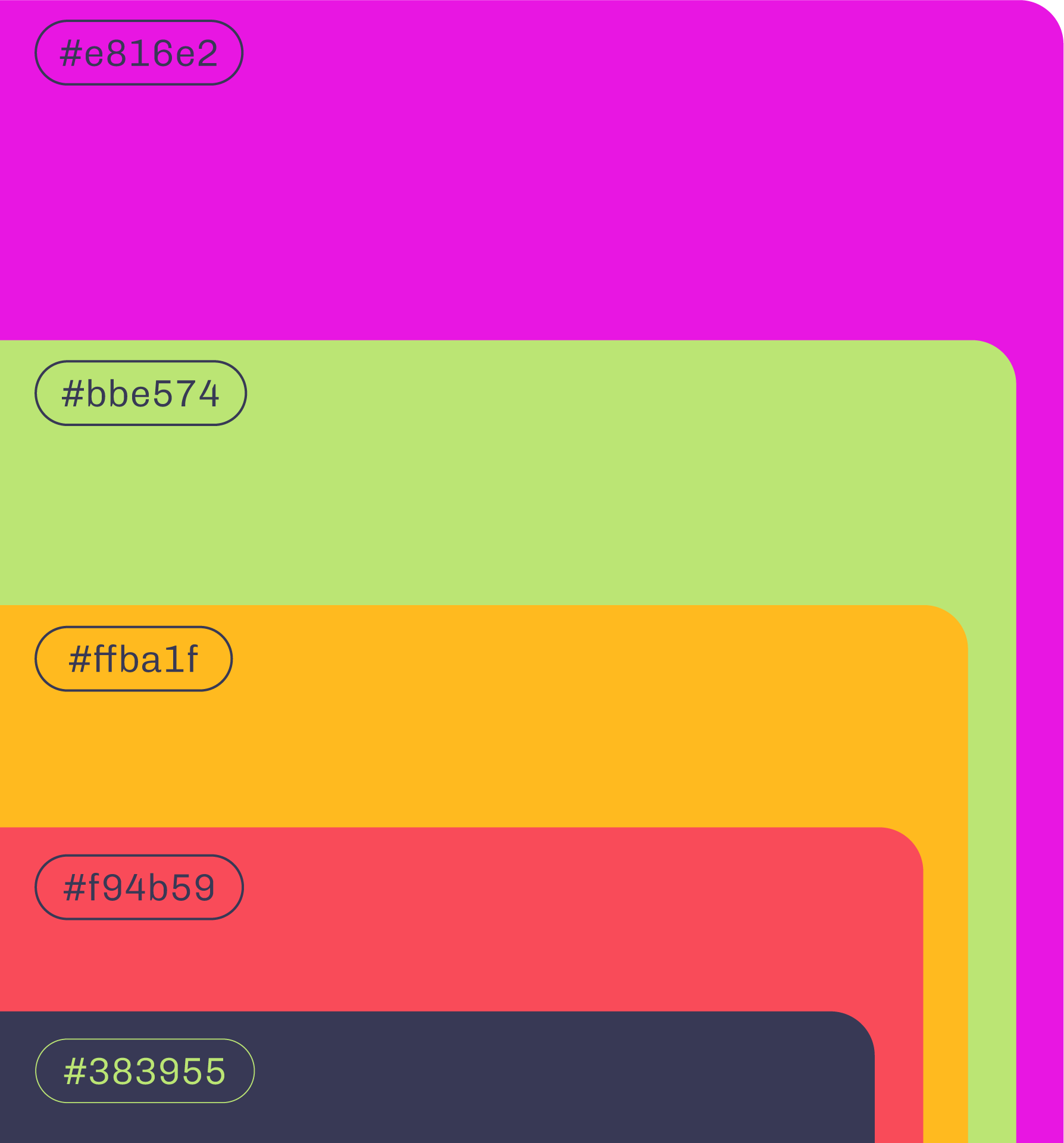 Rico y Bonito colour palette: fluorescent pink, lime green, egg yellow, coral and dark blue.