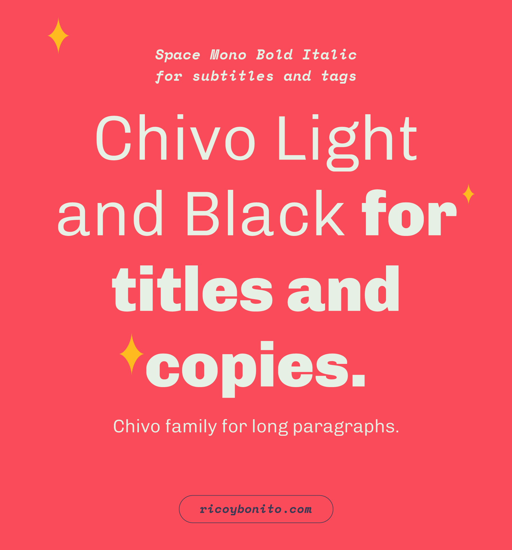 Rico y Bonito typography palette: “Space Mono Bold Italic for subtitles and tags”, “Chivo Light and Black for titles and copy”, and “the Chivo family for long paragraphs”.