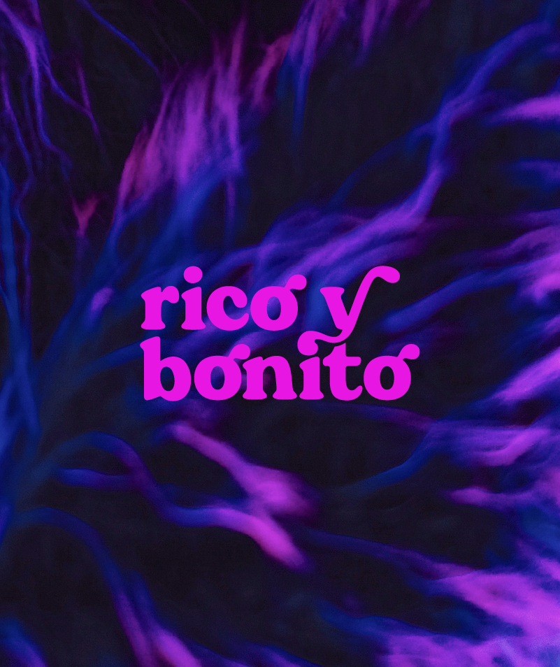 Go to project "Rico y Bonito"