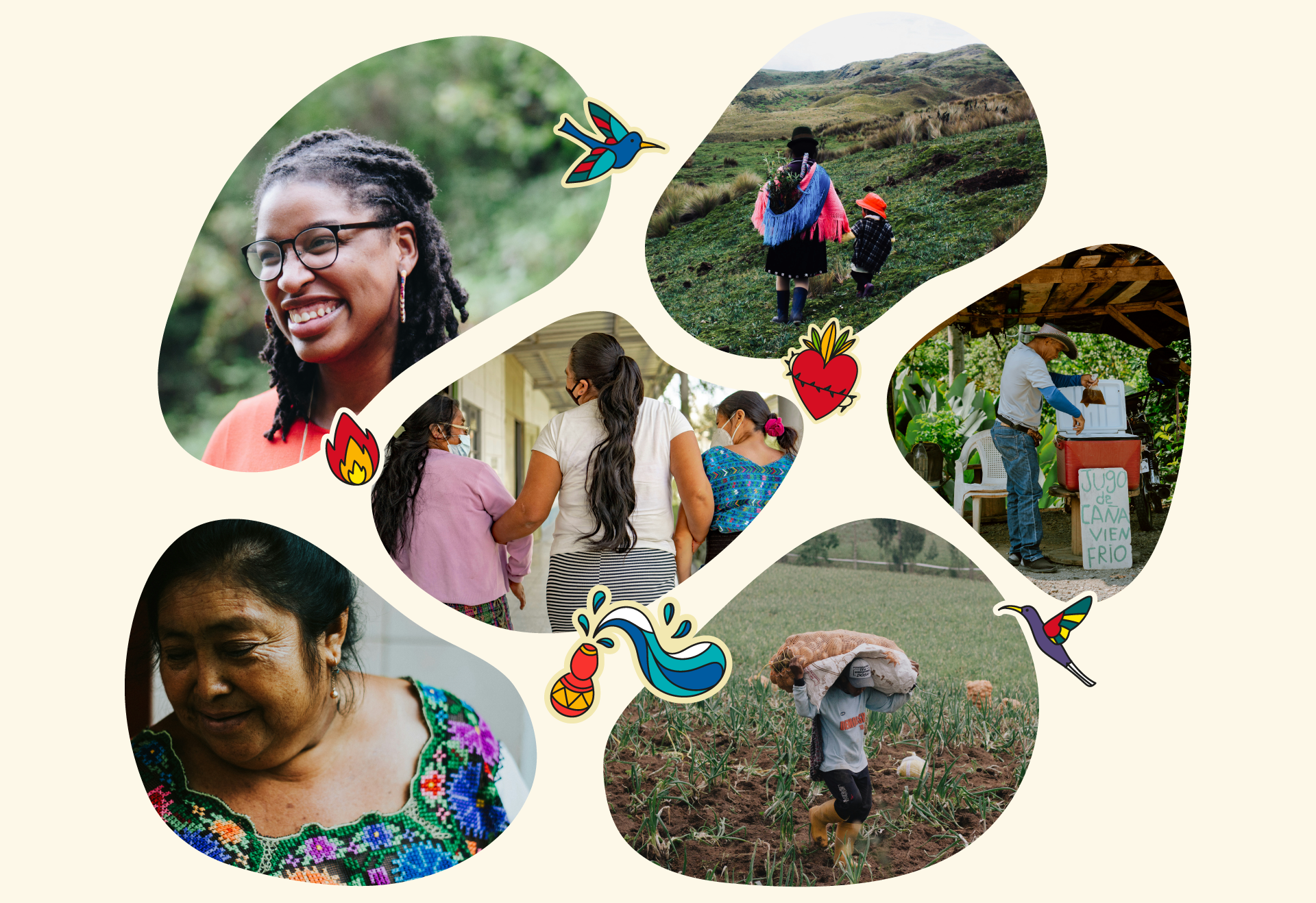 Composition of six photographs cropped into organic shapes, with illustrated elements that form part of the Fe y Democracia visual identity.