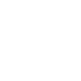 Intrasentido