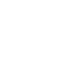 Alianza Mesoamericana de Pueblos y Bosques