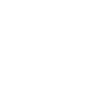 R3D: Red en Defensa de los Derechos Digitales
