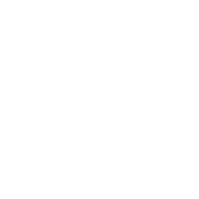 Luchadoras